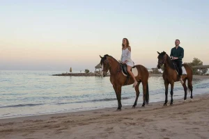 Gallery Thumbnail 1