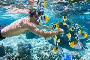Gallery Thumbnail 2