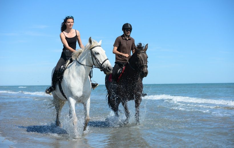 Horse Riding on the Beach or in the Desert